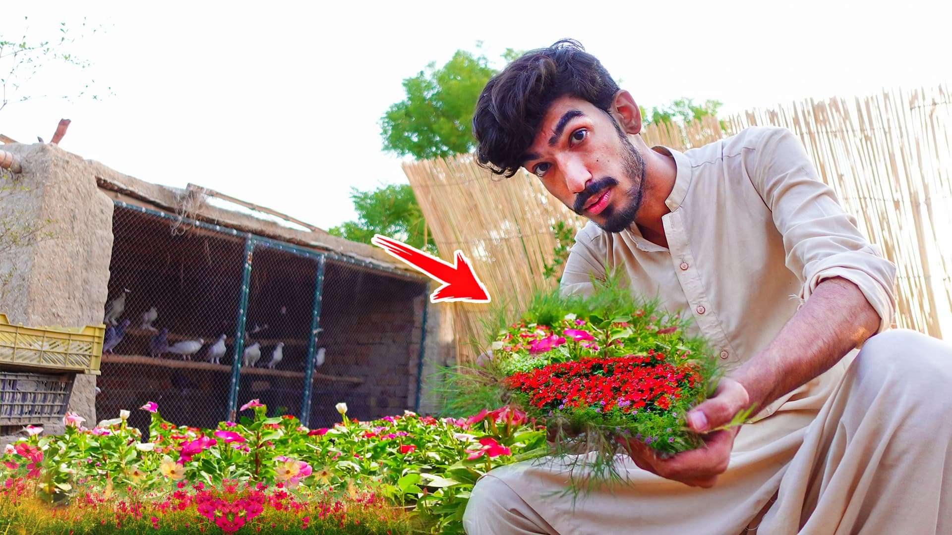 Vlog episode thumbnail